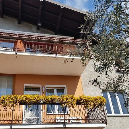 Apartment Iseo Lake サーレ・マラジーノ 部屋 写真